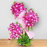 Stand Basket of Orchid